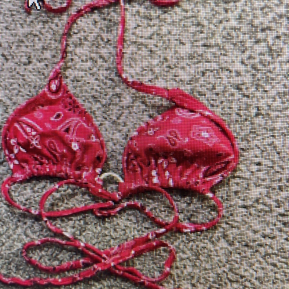 Red Paisley Bikini Set - Picture 2 of 2